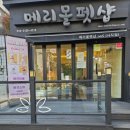 메리몰펫샵(사직점) 이미지