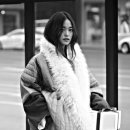 마리의감성소품