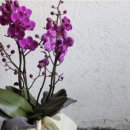 보자기아트 이미지