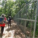 내곡동433 이미지