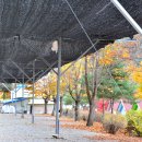 지지밸리야영장 이미지