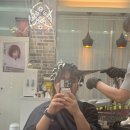 미스미스터헤어 - 군산시 수송동 | 미스미스터헤어