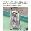 꽃 잔뜩 구경한 4월