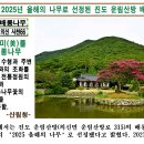 진도 비끼내 운림산방 -관련 사진과 설명 자료 이미지
