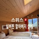 스위스 그린델발트 숙소 실버핀 할아버지 샬레 후기