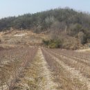 수곡농장 이미지