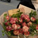 푸른세상 이미지