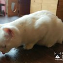 릴리호텔 이미지