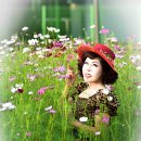 송현 - 수영구 감포로 32 | 송현