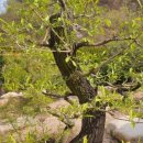 태림농원 이미지