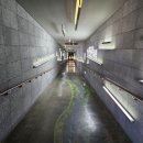 선사유적지 미롱이 이미지