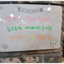 해피애견타운분당