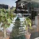 군산 다이어트 셀포렙로뎀 누워서 하는 다이어트 체질개선 다이어트 후기
