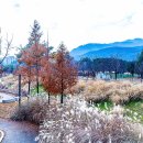 청계산수변공원 이미지