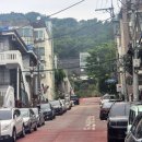 주정차67 이미지