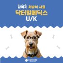 동물병원 닥터K 이미지