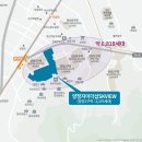 양정자이약국 네이버블로그