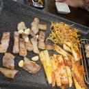 돼지한마리 이미지