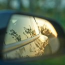 (주)오성교통 이미지