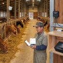 안방태양광발전소 이미지