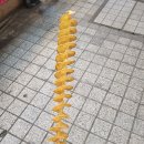 수현수산 이미지
