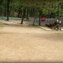 솔로몬주유소 이미지