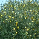 오늘의 선물 이미지