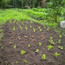 솔마1로 이미지