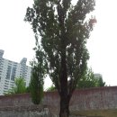 서대문형무소역사관 이미지