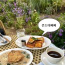 화신로8길1-21 | 콘드에뻬뻬 | 동대문 ddp 맛집 내돈내산 ddp 맛집 양식 브런치 주말 웨이팅 후기