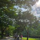 금오산도립공원 올레길 화장실 | 경북구미 금오산 도립공원 가족 나들이