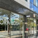 보라키친 이미지