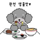 댕수무강 이미지