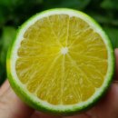 은미농장 이미지