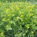 애보박물관 이미지