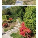 송정드림펜션 이미지