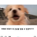 수양미용실 - 진주시 | 수양미용실