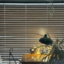 4696 | [세종] 조치원역 최애 카페 '모디스트임팩트' 두바이 다쿠아즈 내돈내산 후기