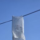 강 나 루 이미지