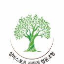 실버스포츠사회적협동조합 네이버블로그