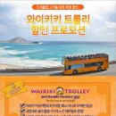 [하와이여행] 하와이 와이키키 트롤리(Waikiki Trolley) 할인쿠폰 이미지