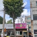 가로수 이미지