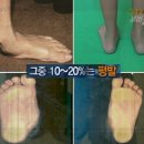 더바른마디의원