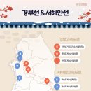 바른반려견센터 이미지