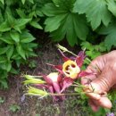 드림공원 이미지