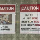 금풍농장 이미지