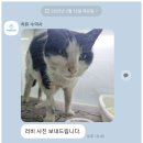 녹번동물병원 이미지