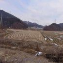 석남공인중개사사무소 이미지