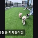 샤샤살롱 지제동삭점 네이버블로그