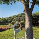 보나요가&필라테스&플라잉